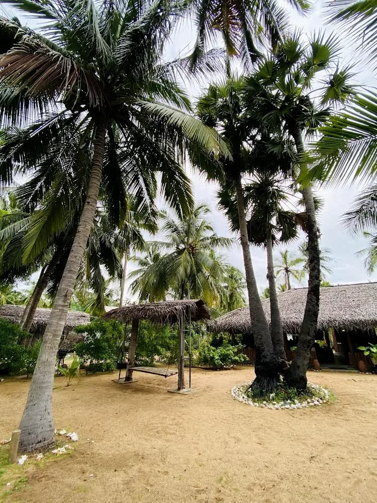 Palm-shaded garden swing at Valampuri Resort for non-kiting guests